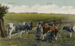 16492 Afbeelding van enkele koeien in een weiland te Breukelen en een boer en boerin bezig met melken.